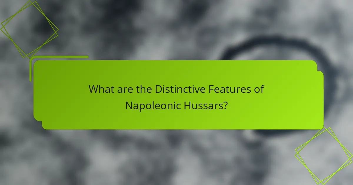 What are the Distinctive Features of Napoleonic Hussars?