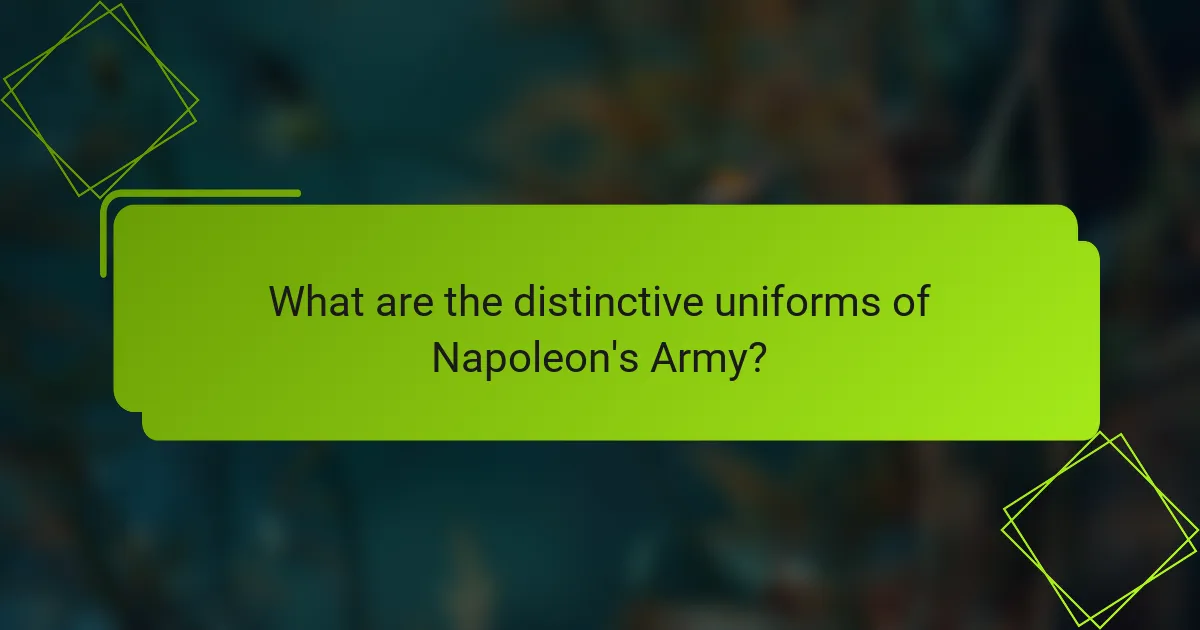 What are the distinctive uniforms of Napoleon's Army?