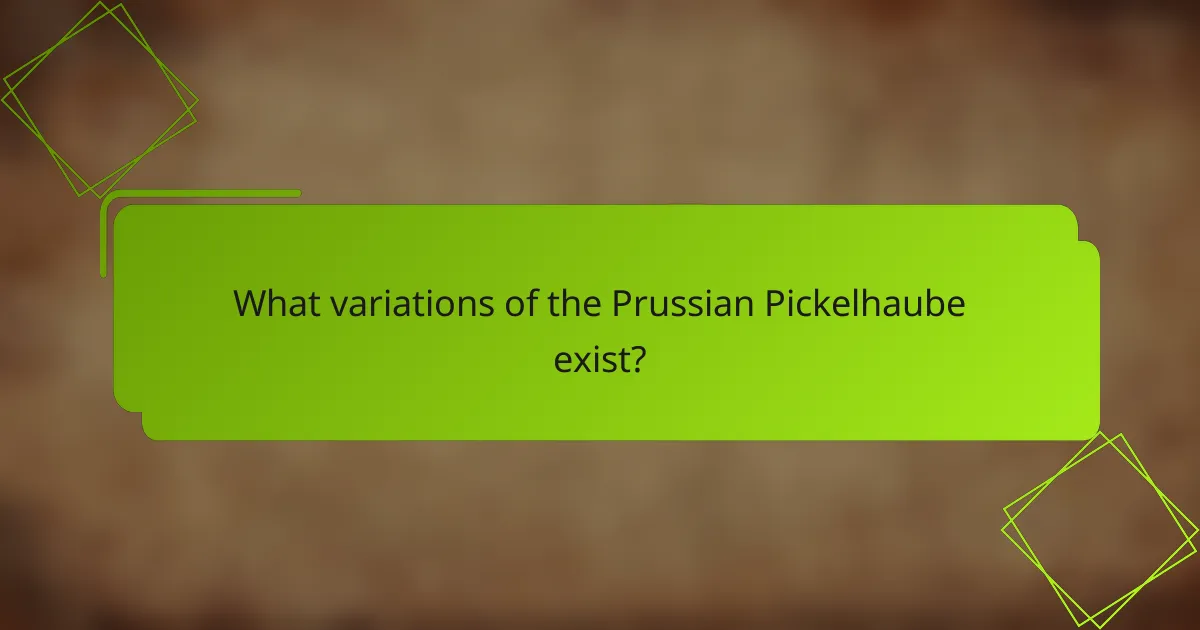 What variations of the Prussian Pickelhaube exist?